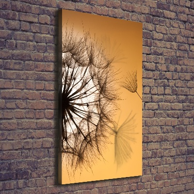 Canvas print Dandelion