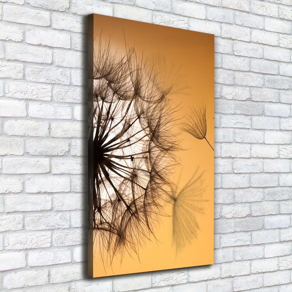 Canvas print Dandelion