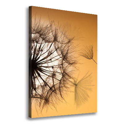 Canvas print Dandelion