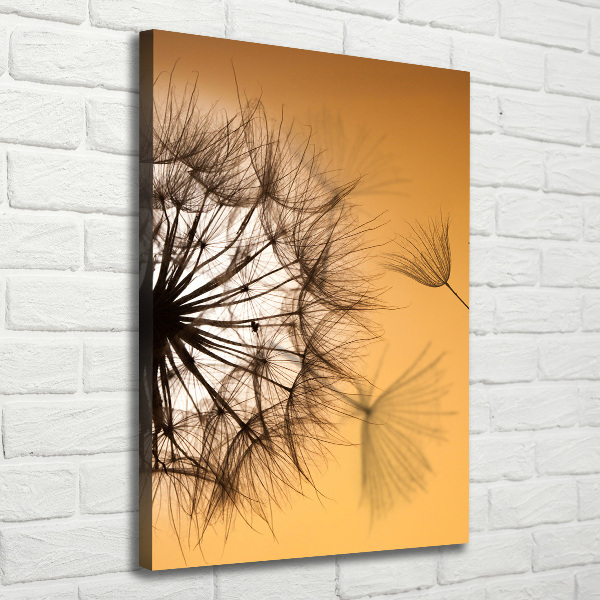 Canvas print Dandelion