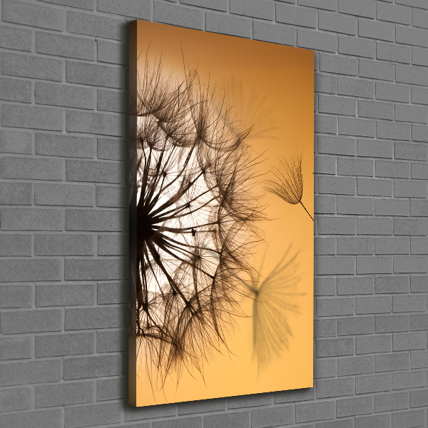 Canvas print Dandelion