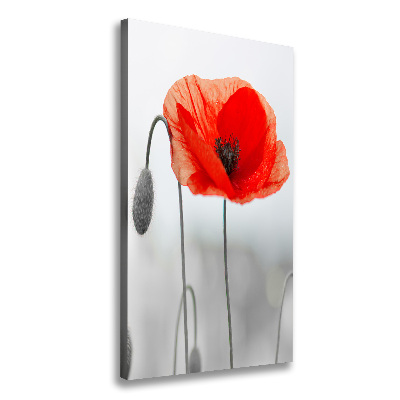 Large canvas wall art Field poppies