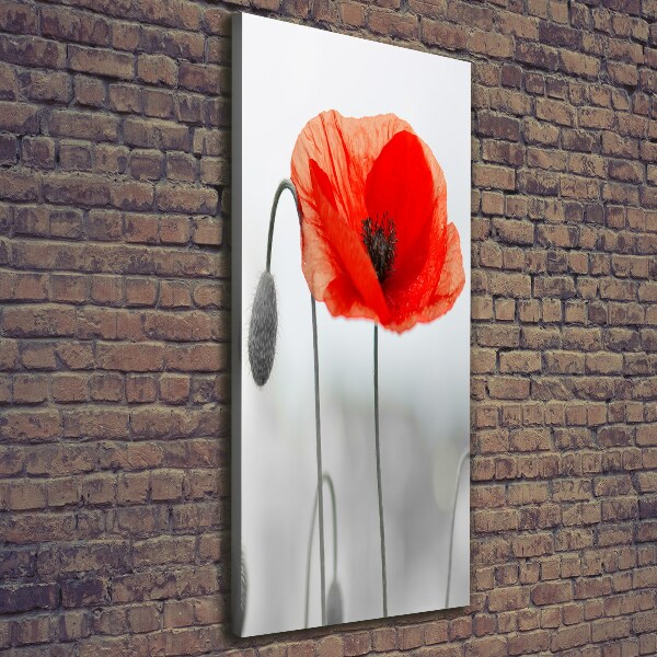 Large canvas wall art Field poppies