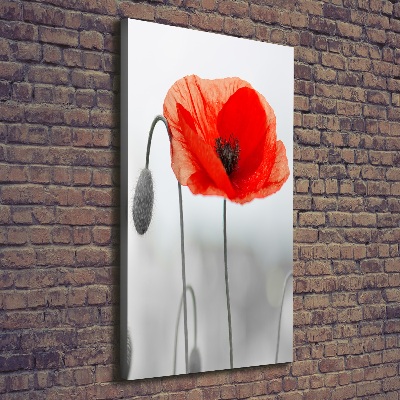 Large canvas wall art Field poppies