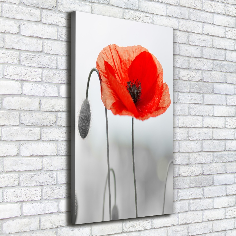 Large canvas wall art Field poppies