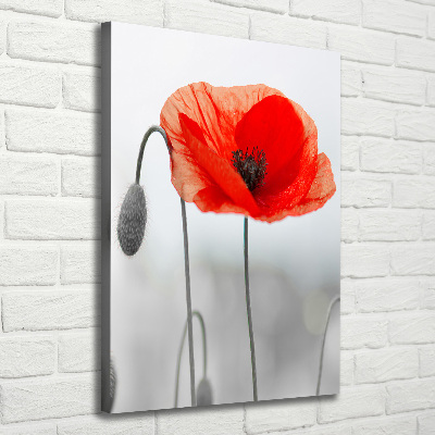 Large canvas wall art Field poppies