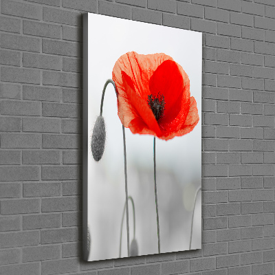 Large canvas wall art Field poppies