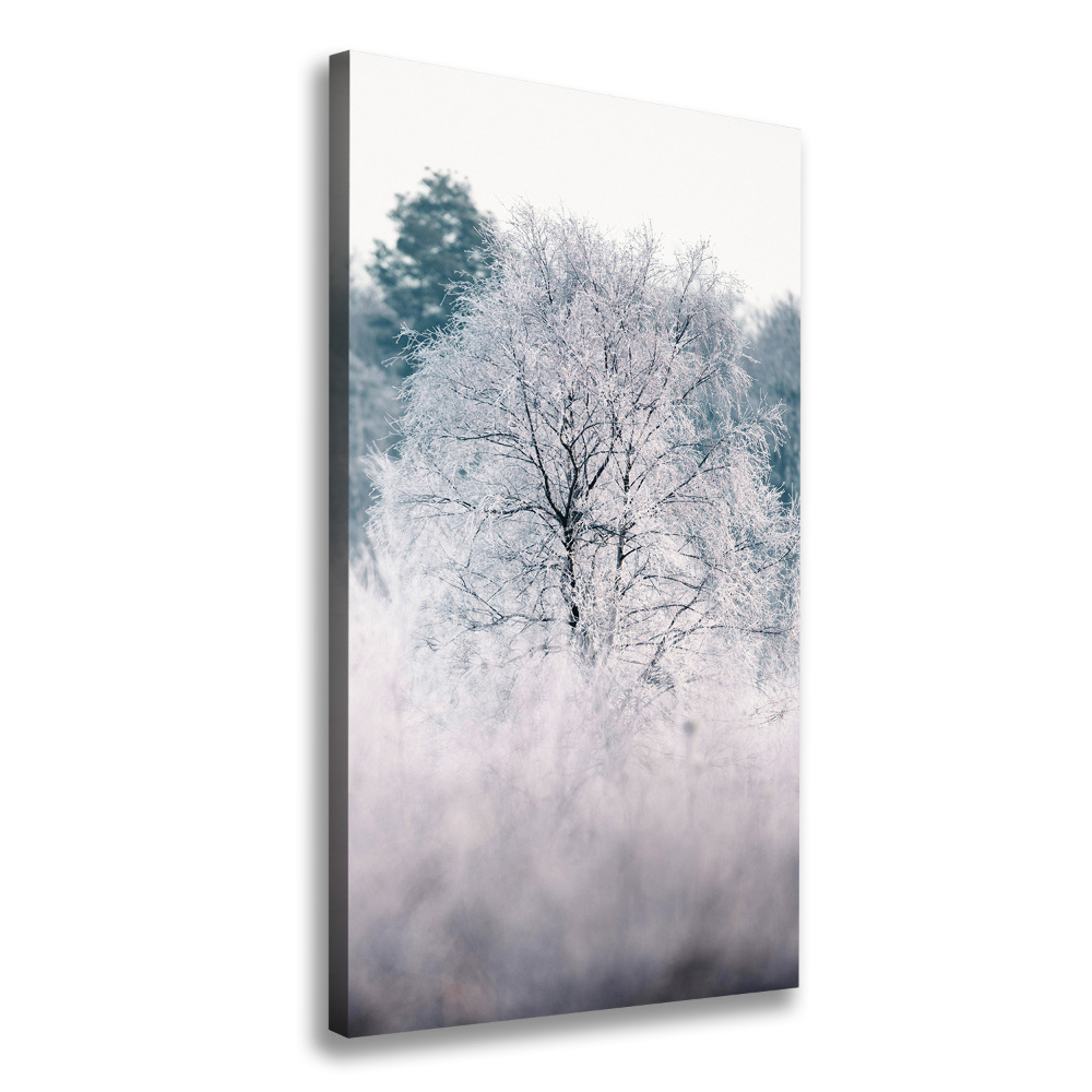 Wall art canvas large Forest in winter