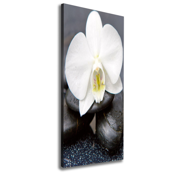 Canvas wall art Orchid and stones