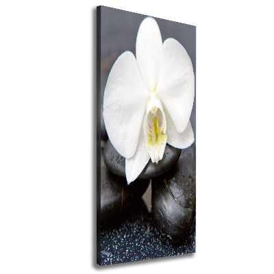 Canvas wall art Orchid and stones