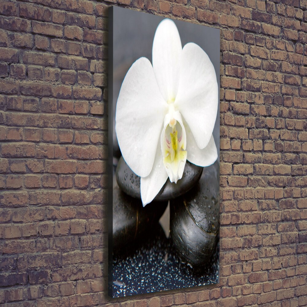 Canvas wall art Orchid and stones