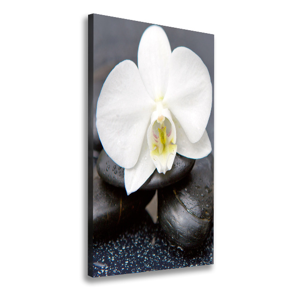 Canvas wall art Orchid and stones