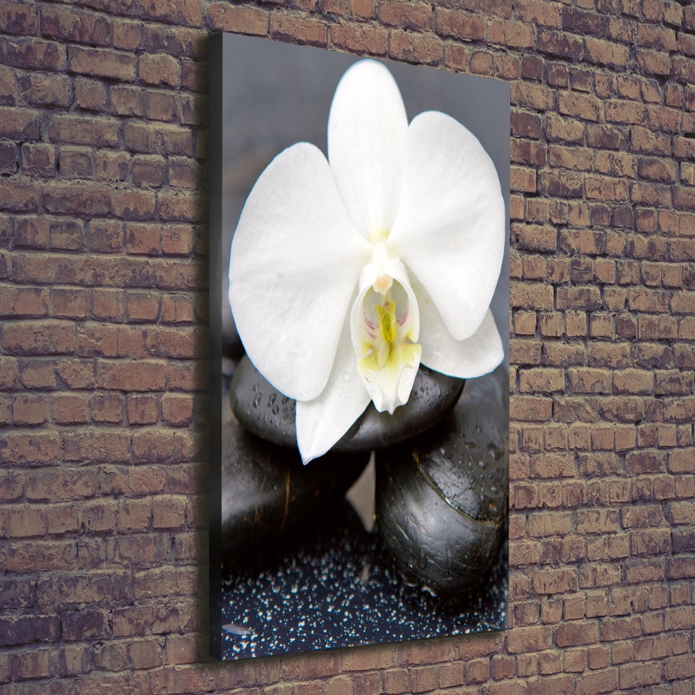 Canvas wall art Orchid and stones