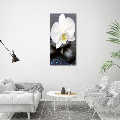 Canvas wall art Orchid and stones