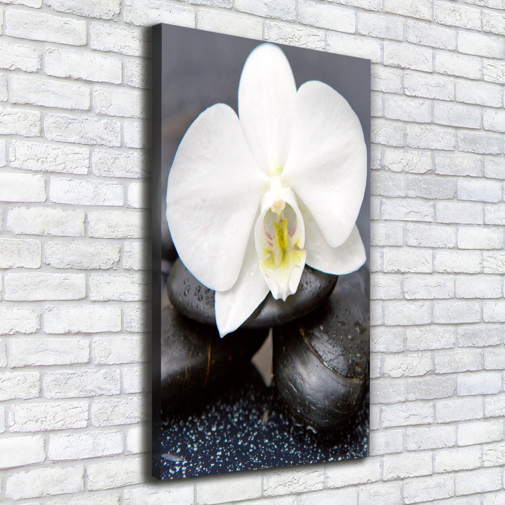 Canvas wall art Orchid and stones