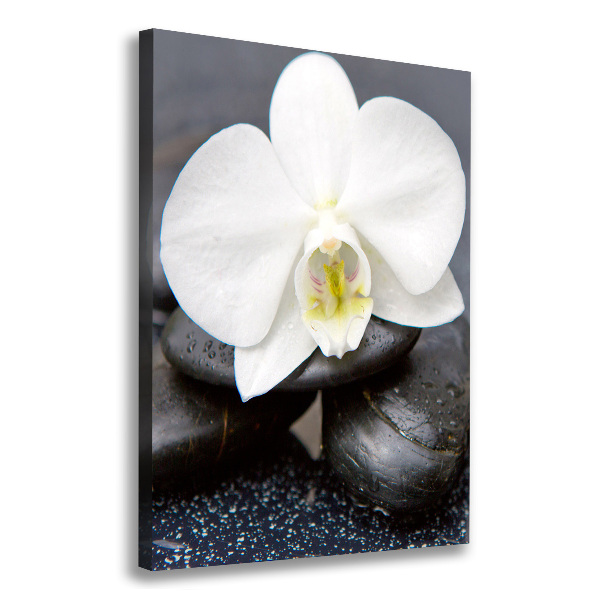 Canvas wall art Orchid and stones