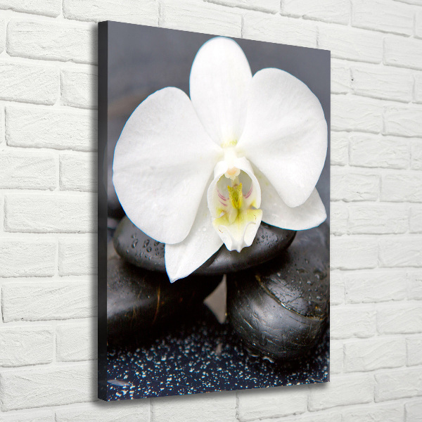 Canvas wall art Orchid and stones