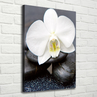 Canvas wall art Orchid and stones