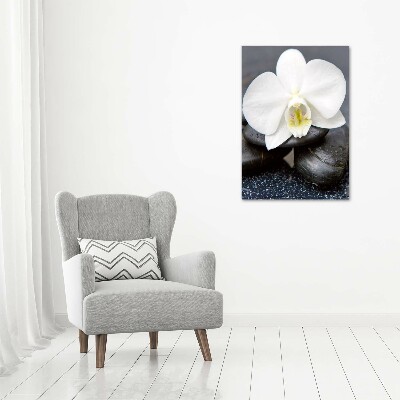 Canvas wall art Orchid and stones