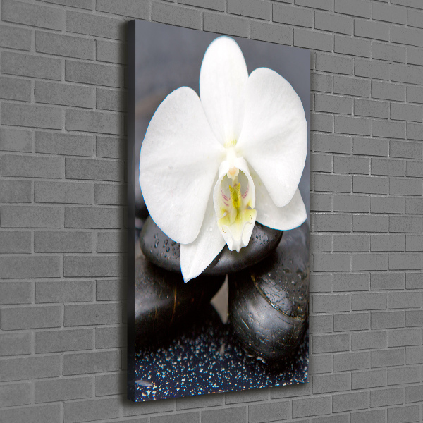 Canvas wall art Orchid and stones