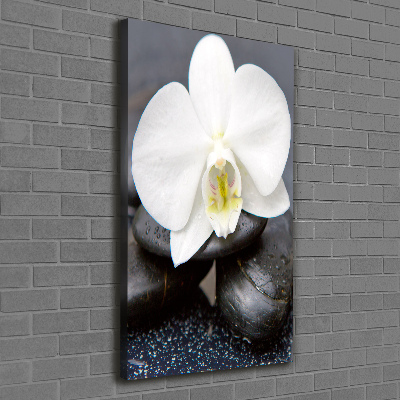 Canvas wall art Orchid and stones