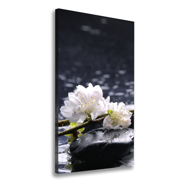 Canvas wall art Flowers and stones