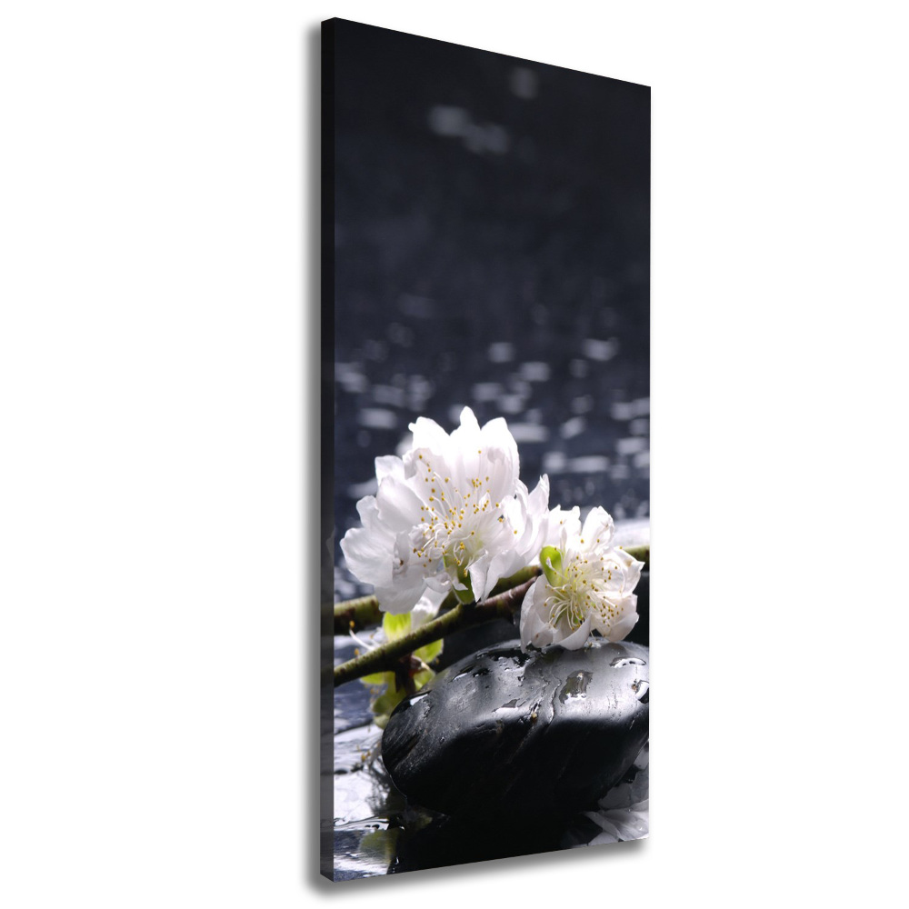 Canvas wall art Flowers and stones