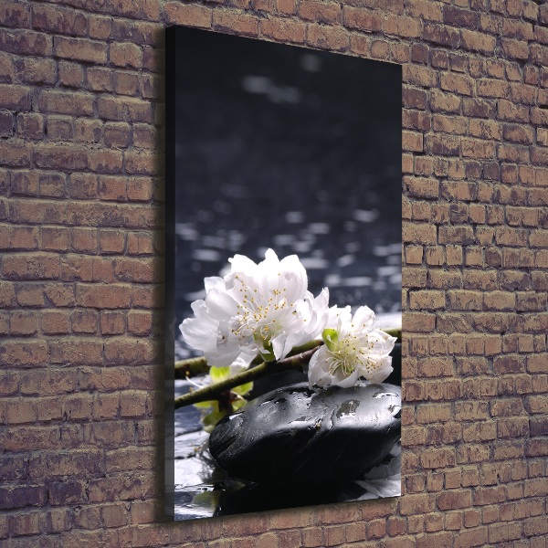 Canvas wall art Flowers and stones