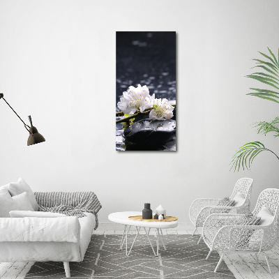 Canvas wall art Flowers and stones