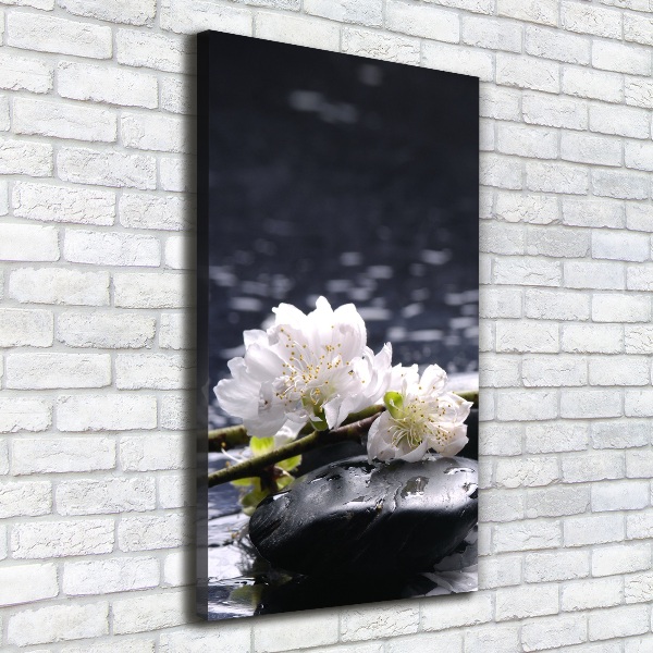 Canvas wall art Flowers and stones