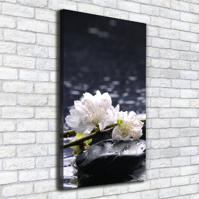 Canvas wall art Flowers and stones