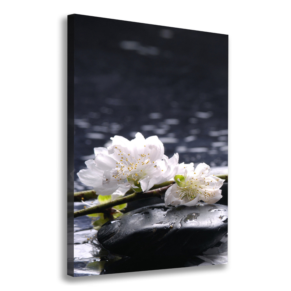 Canvas wall art Flowers and stones