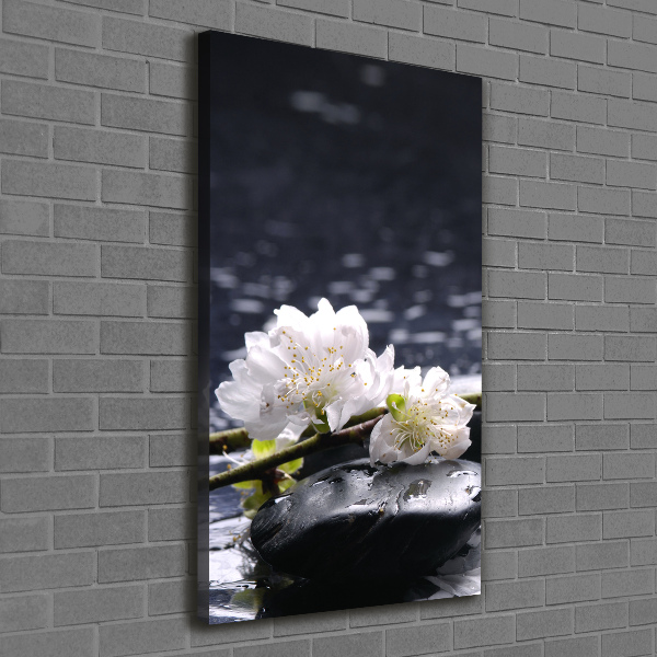 Canvas wall art Flowers and stones