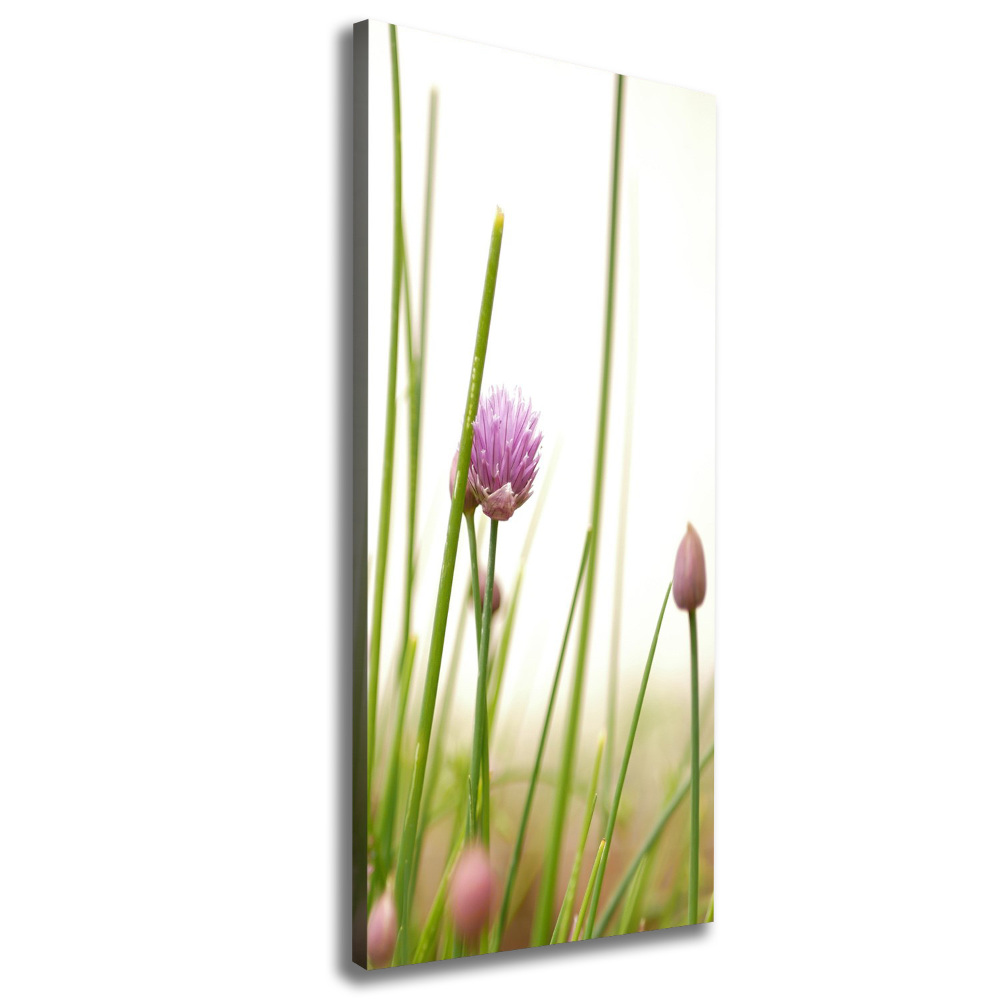 Canvas wall art Chives