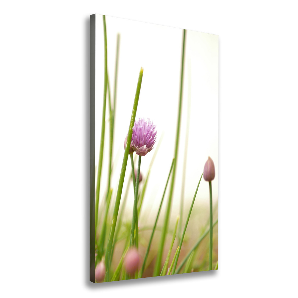 Canvas wall art Chives