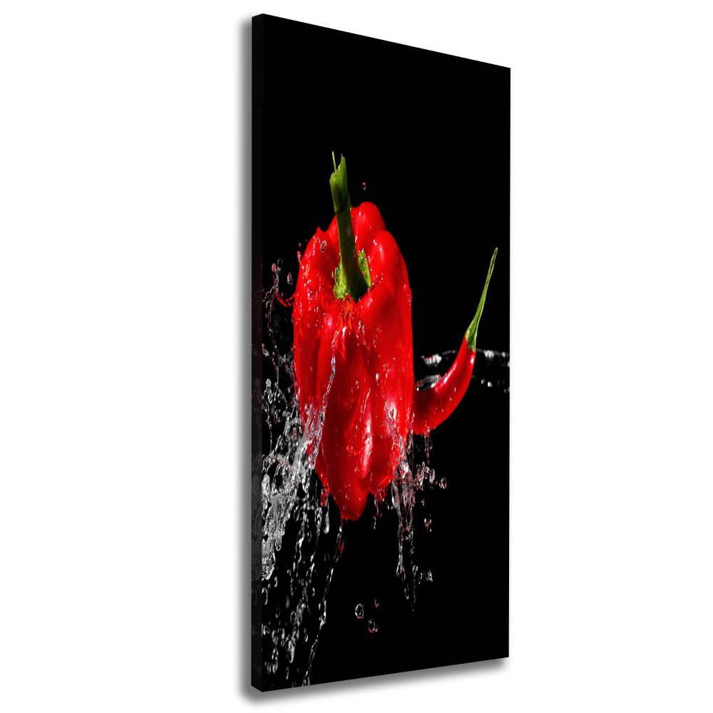 Canvas wall art Two peppers