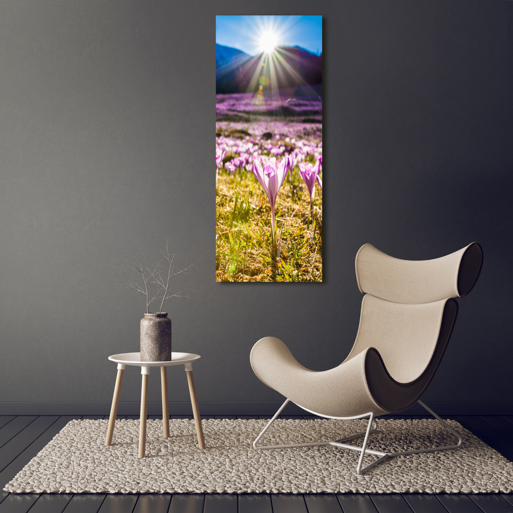 Canvas wall art Crocuses in the mountains