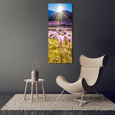 Canvas wall art Crocuses in the mountains