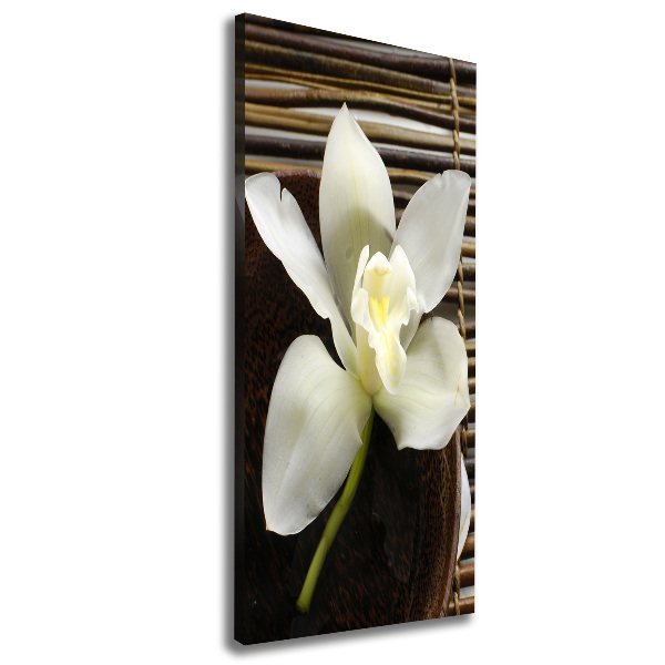 Large canvas wall art Orchid