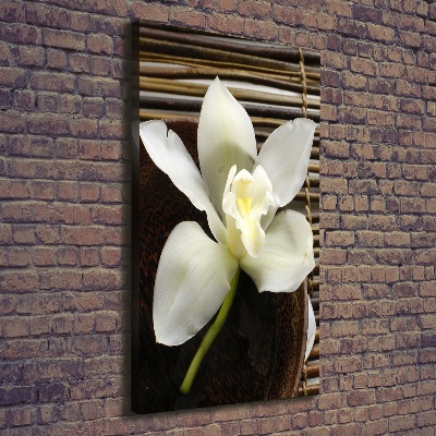 Large canvas wall art Orchid