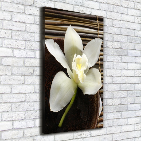 Large canvas wall art Orchid