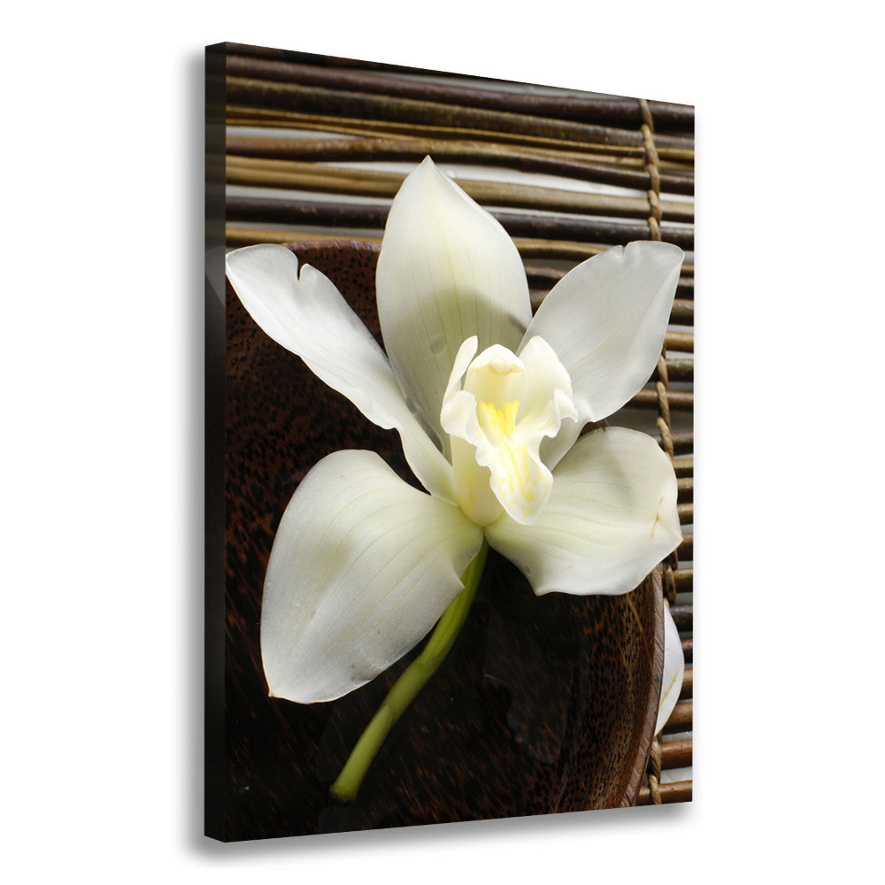 Large canvas wall art Orchid