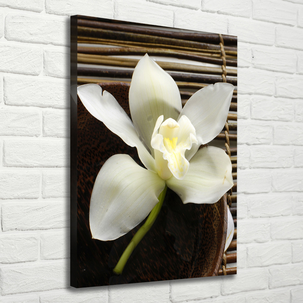 Large canvas wall art Orchid