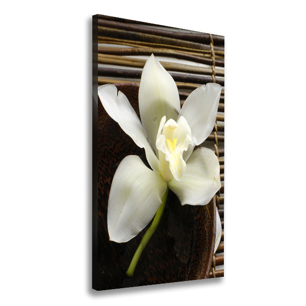 Large canvas wall art Orchid