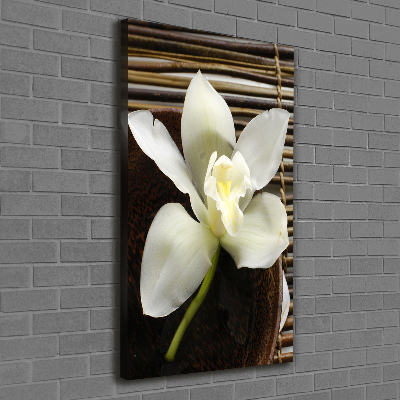 Large canvas wall art Orchid