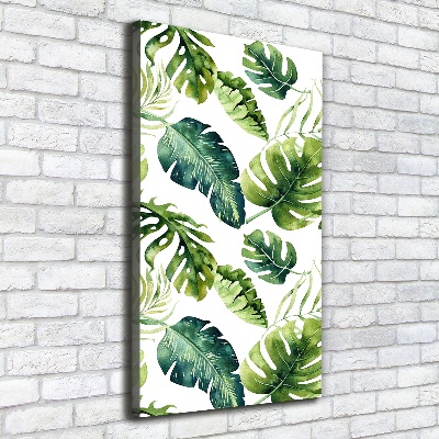 Canvas wall art Tropical leaves