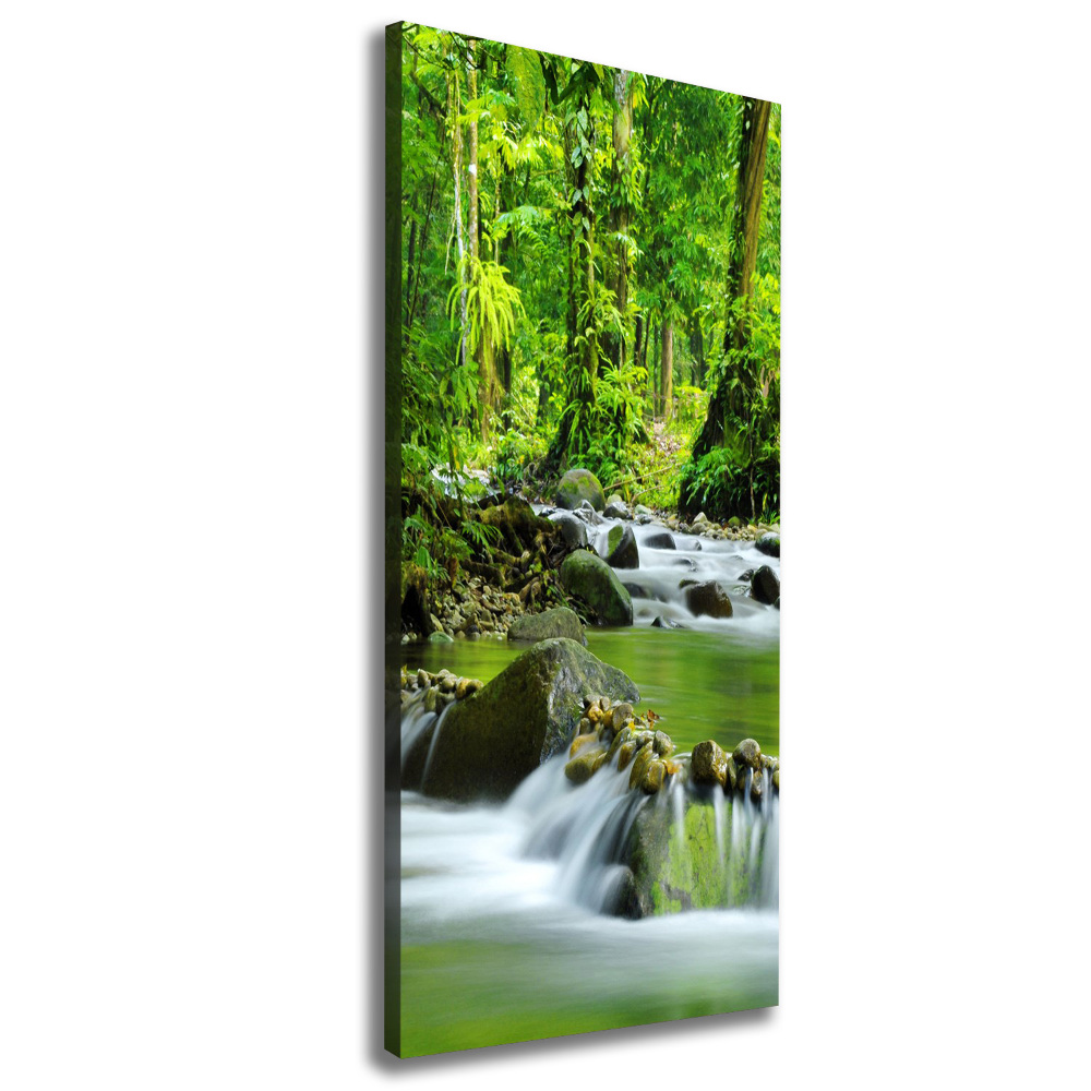 Canvas wall art Mountain stream