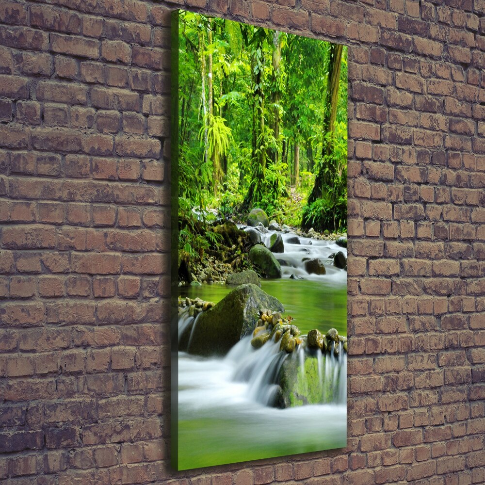 Canvas wall art Mountain stream