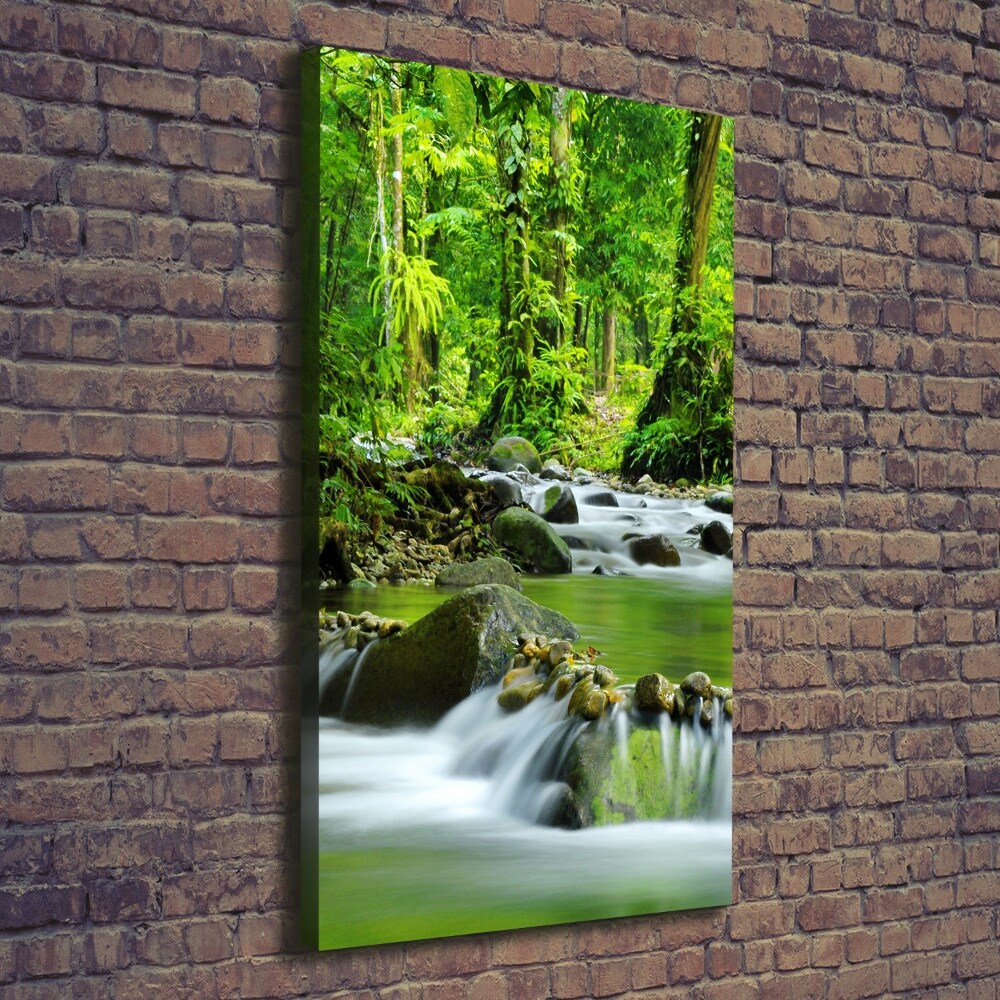 Canvas wall art Mountain stream