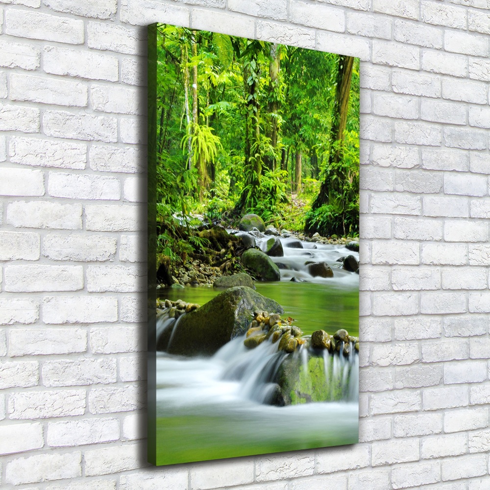 Canvas wall art Mountain stream